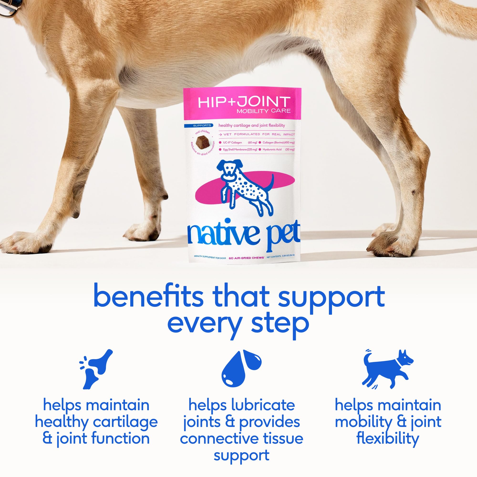 Native Pet hip & joint chews dog running freely, signaling improved mobility