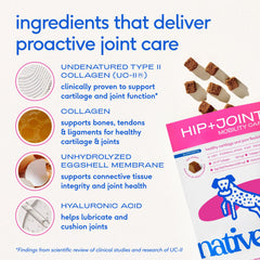 Native Pet hip joint chews ingredients collage close-up highlighting collagen and hyaluronic acid