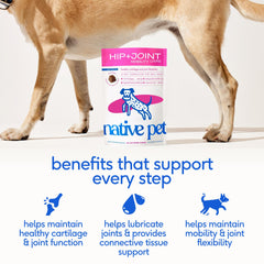 Native Pet hip-joint chews packaging showing USA-made quality