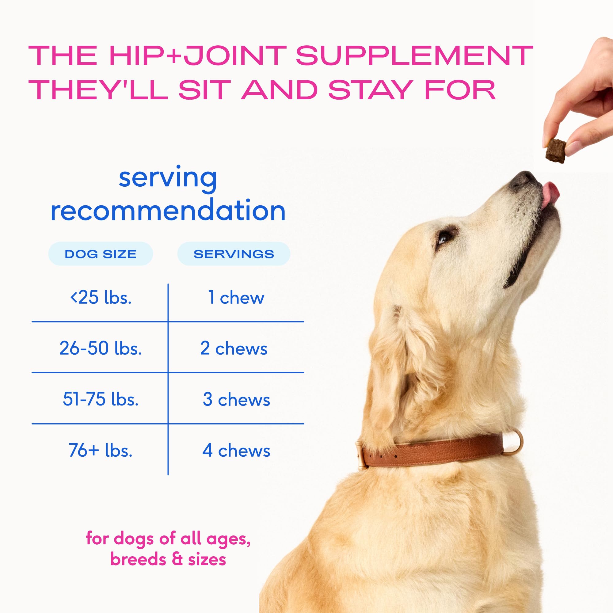 Native Pet hip & joint chews in routine, dog happily enjoying daily treat