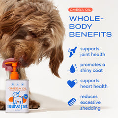 Native Pet Omega 3 dog coat shine shows glossy fur from premium fish oil.
