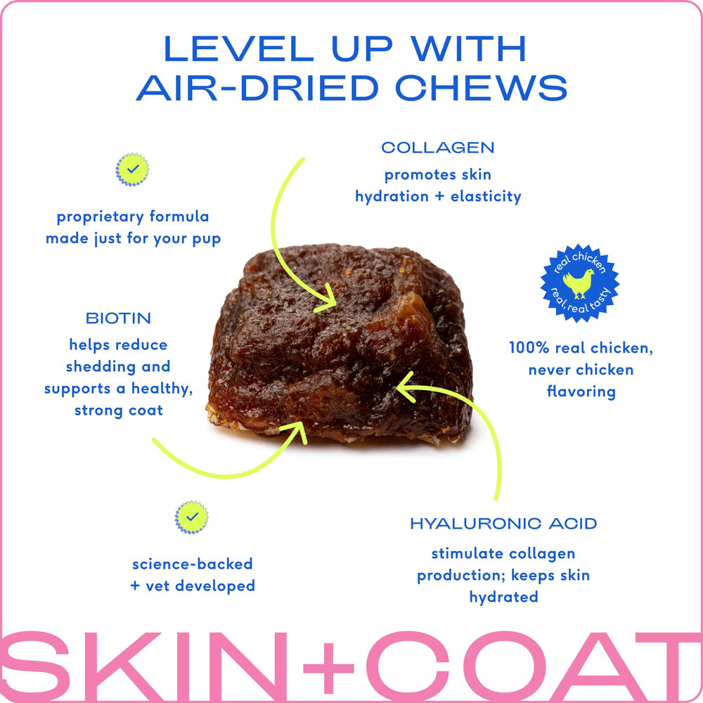 Native Pet Omega Skin & Coat Chews closeup highlights real chicken flavor dogs love.