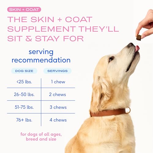Native Pet Omega Skin Coat Chews glossy coat close-up shows healthy shine