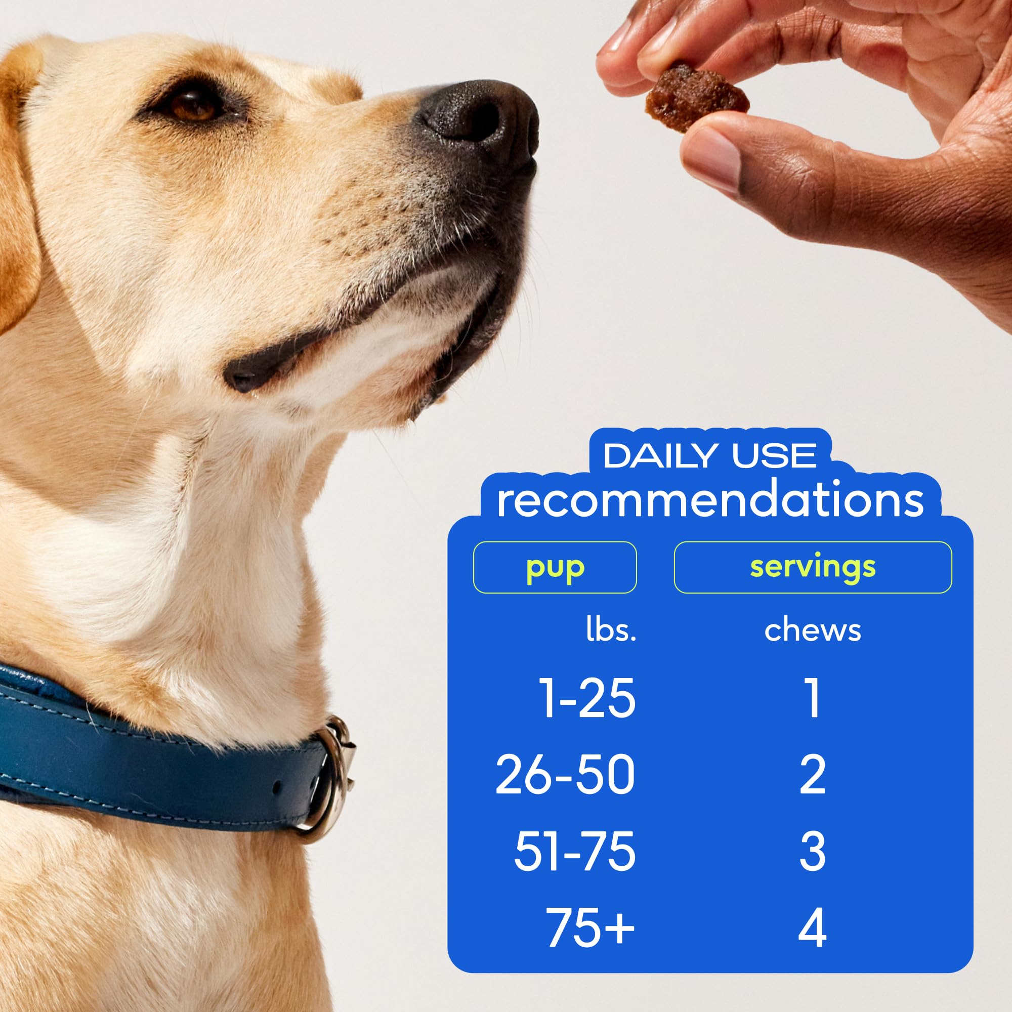 Native Pet Omega Skin & Coat Chews ingredients panel features salmon oil and collagen.