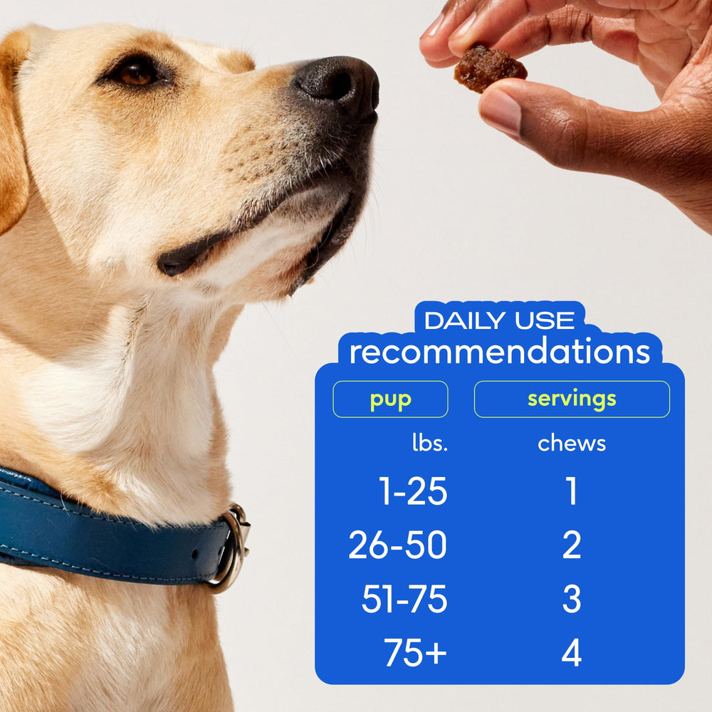 Native Pet Omega Skin & Coat Chews ingredients panel features salmon oil and collagen.