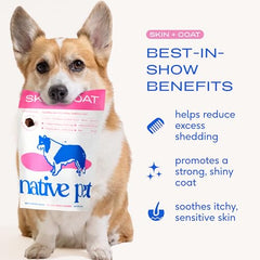 Native Pet Omega Skin Coat Chews real chicken flavor supports palatability