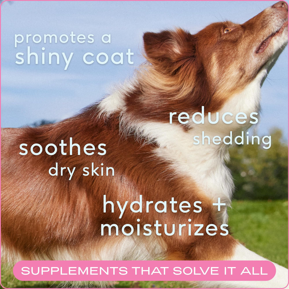 Native Pet Omega Skin & Coat Chews serving cup shows easy daily dosing for skin support.