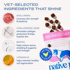 Native Pet Omega Skin Coat Chews wild-caught salmon oil delivers omega-3 nourishment