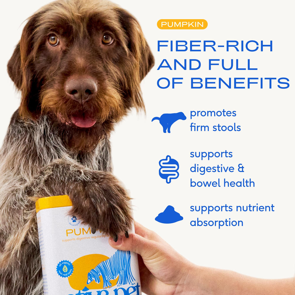 Native Pet organic pumpkin powder ingredients with pumpkin seed and apple