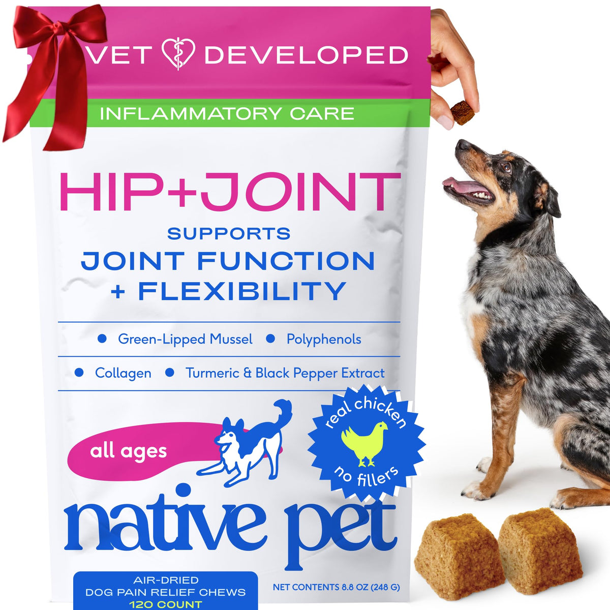 Native Pet Pain Relief for Dogs bottle shows 120 chews for joint support