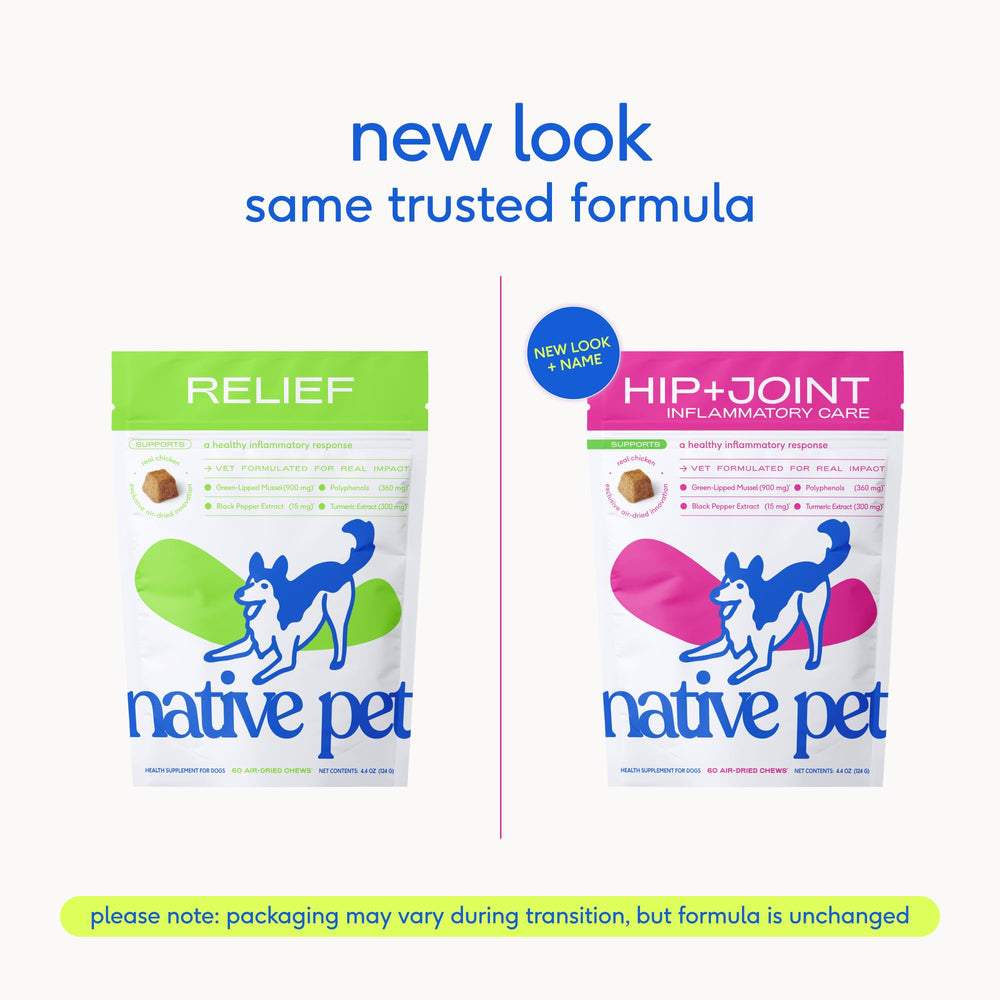 Native Pet Pain Relief for Dogs chews presented as a tasty daily treat option.