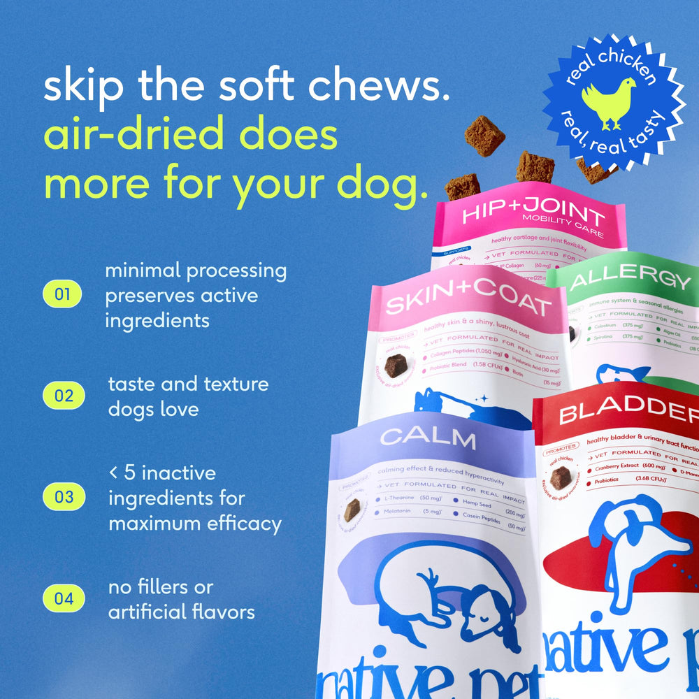 Native Pet Pain Relief for Dogs 60 chews package for long-term joint support.