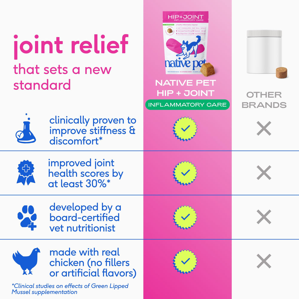 Native Pet Pain Relief for Dogs senior dogs enjoying an active lifestyle.