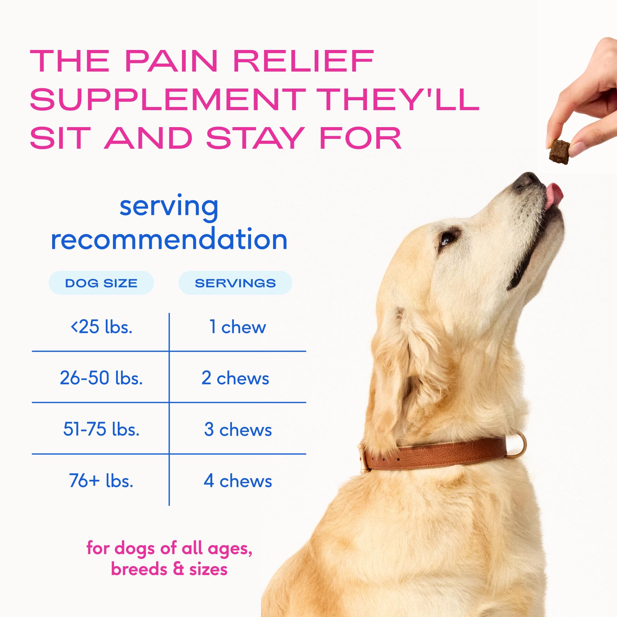 Native Pet Pain Relief chew shown during playtime for easy dosing