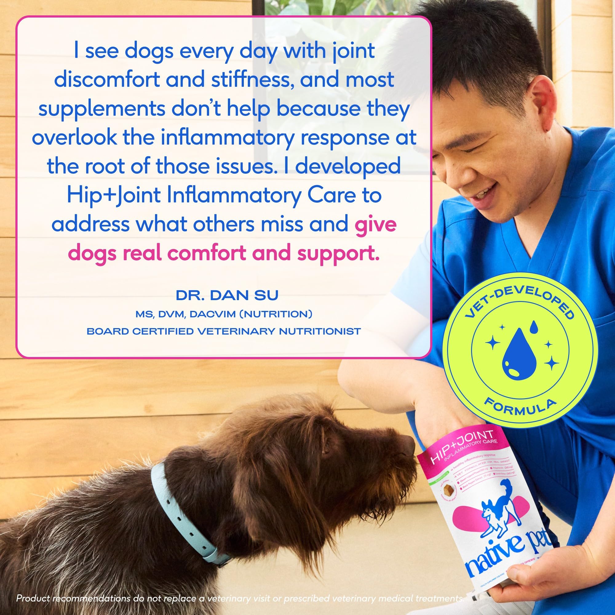 Native Pet Pain Relief senior dog enjoying activity with improved mobility