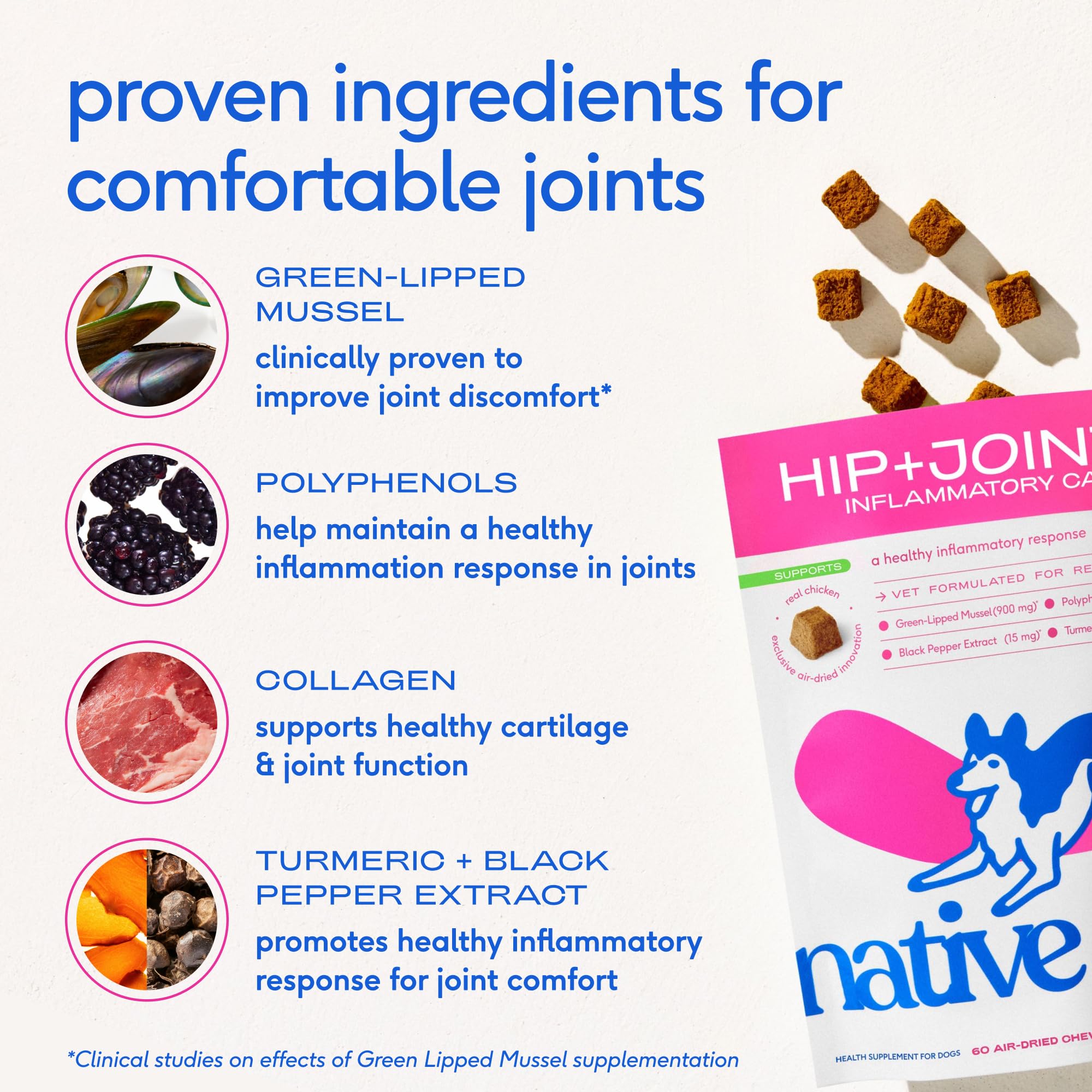 Native Pet Pain Relief turmeric extract highlighting anti-inflammatory support