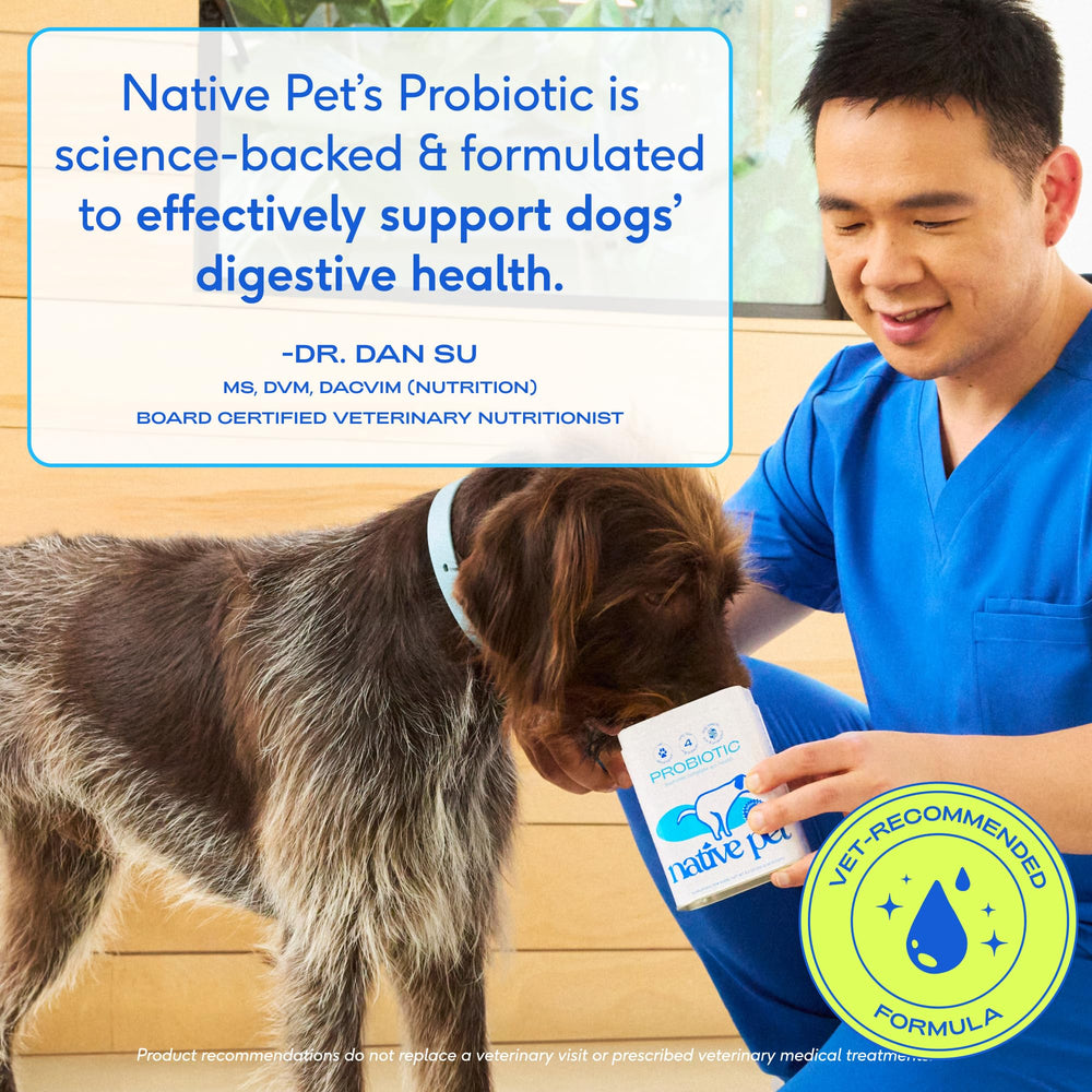 Artwork depicting balanced gut health for multiple dog breeds