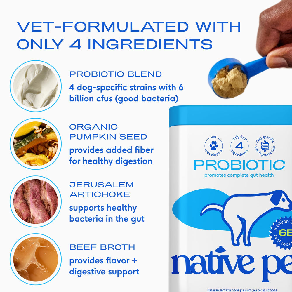 Native Pet Probiotics ingredients panel showing four probiotic strains and prebiotic fiber