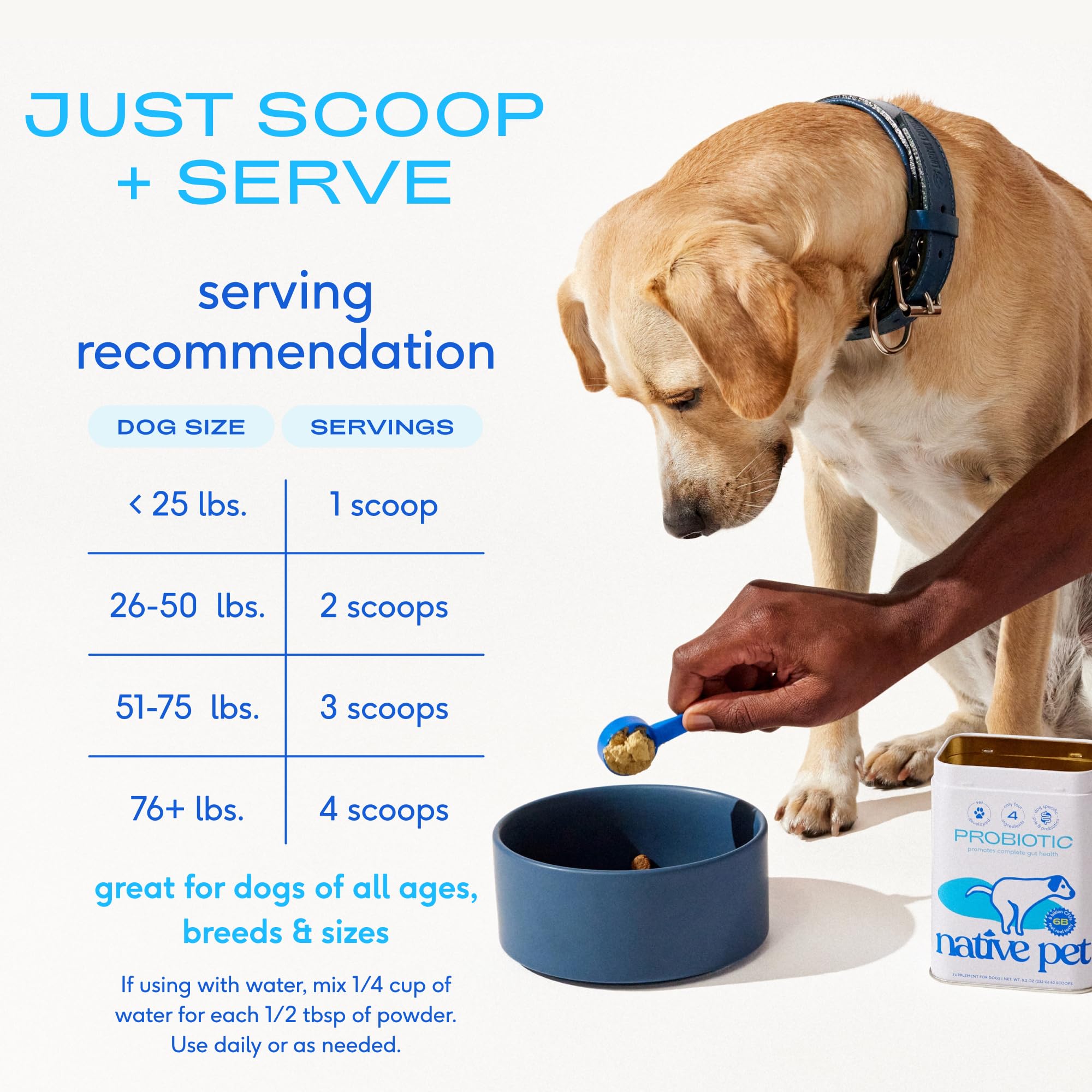 Native Pet Probiotics dog powder supporting digestion and nutrient absorption