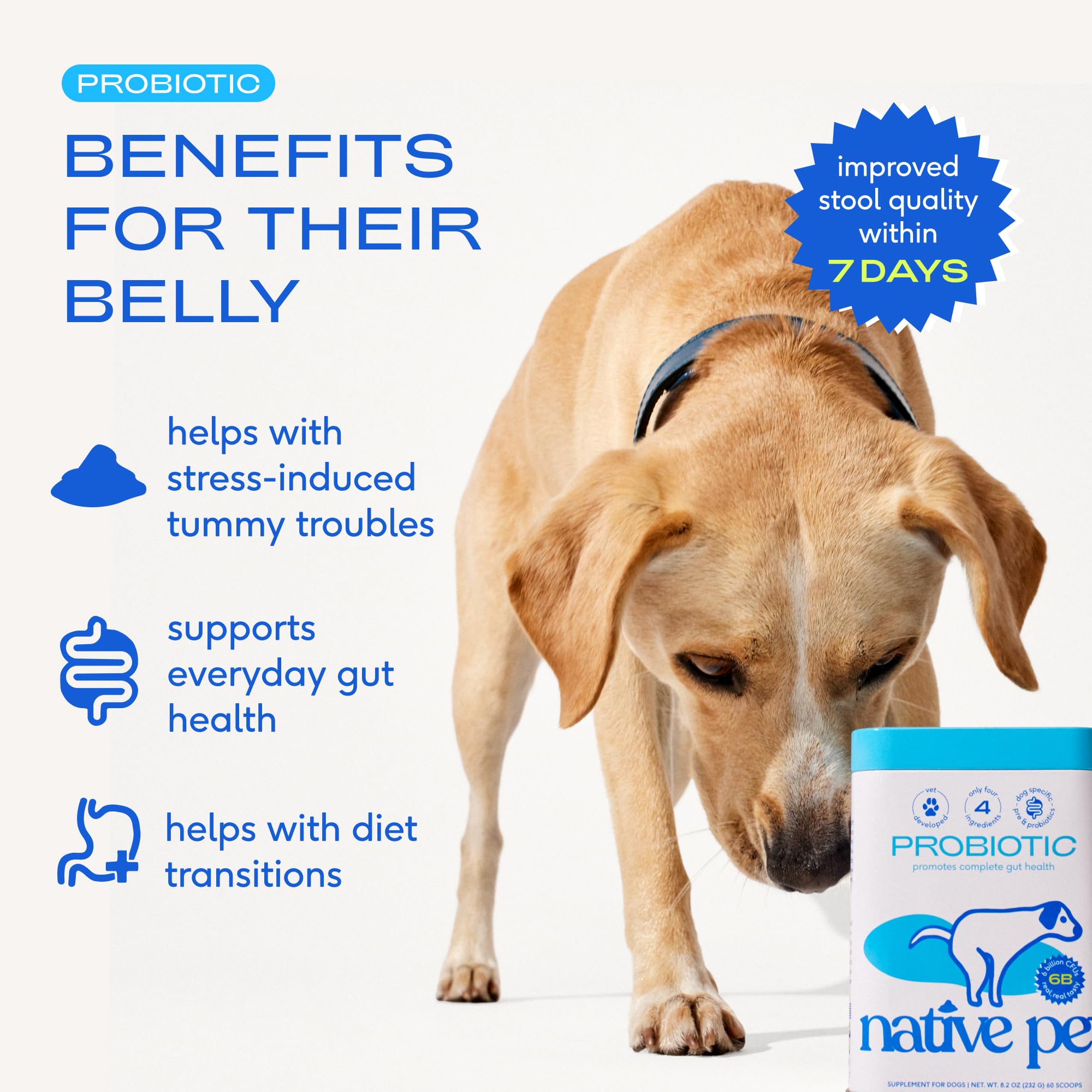Native Pet Probiotics for Dogs pouring scoop demonstrates easy serving for daily gut support