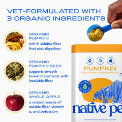Native Pet pumpkin powder dog topper ready-to-serve for easy digestion