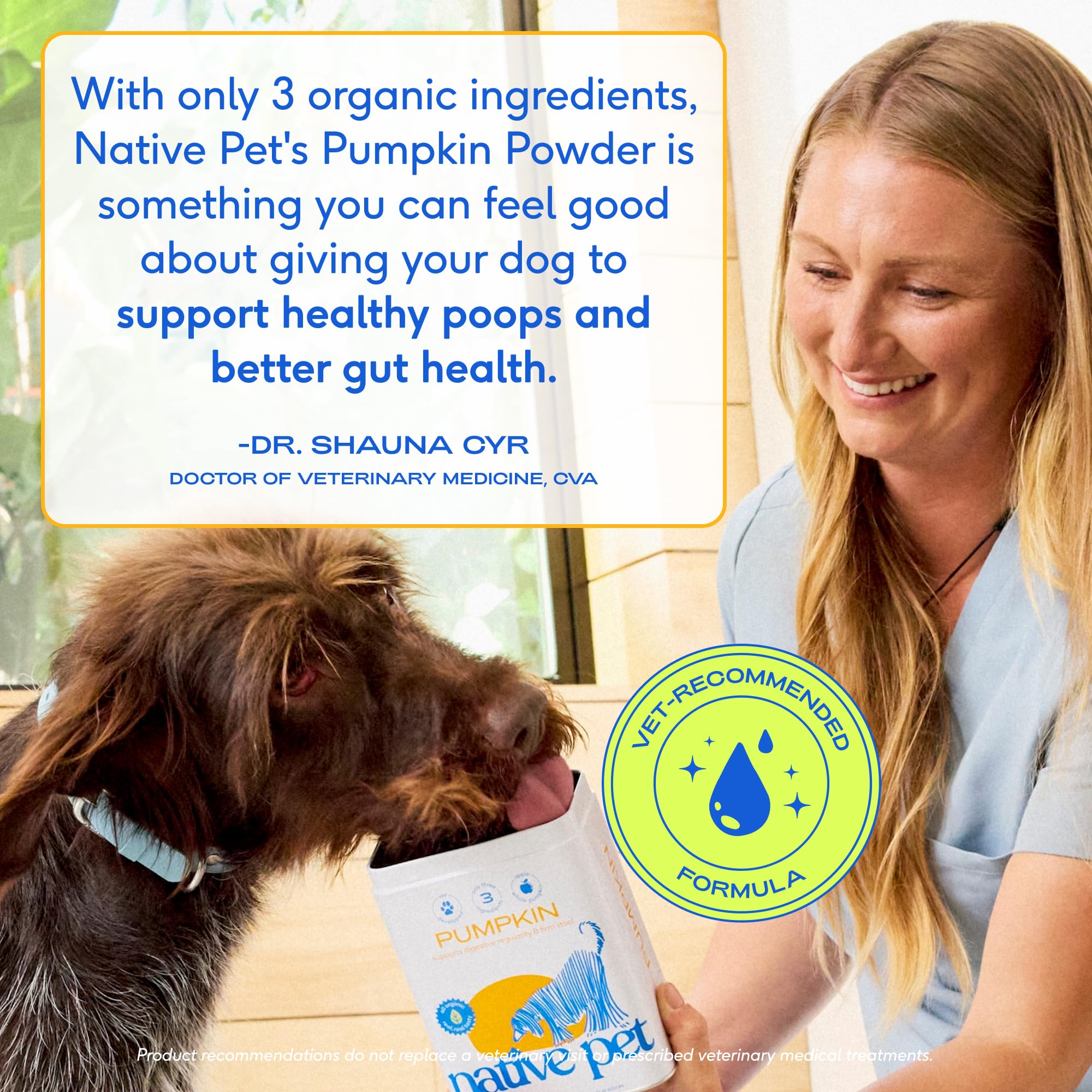 Native Pet Pumpkin powder for dogs, a convenient fiber supplement top-down serving