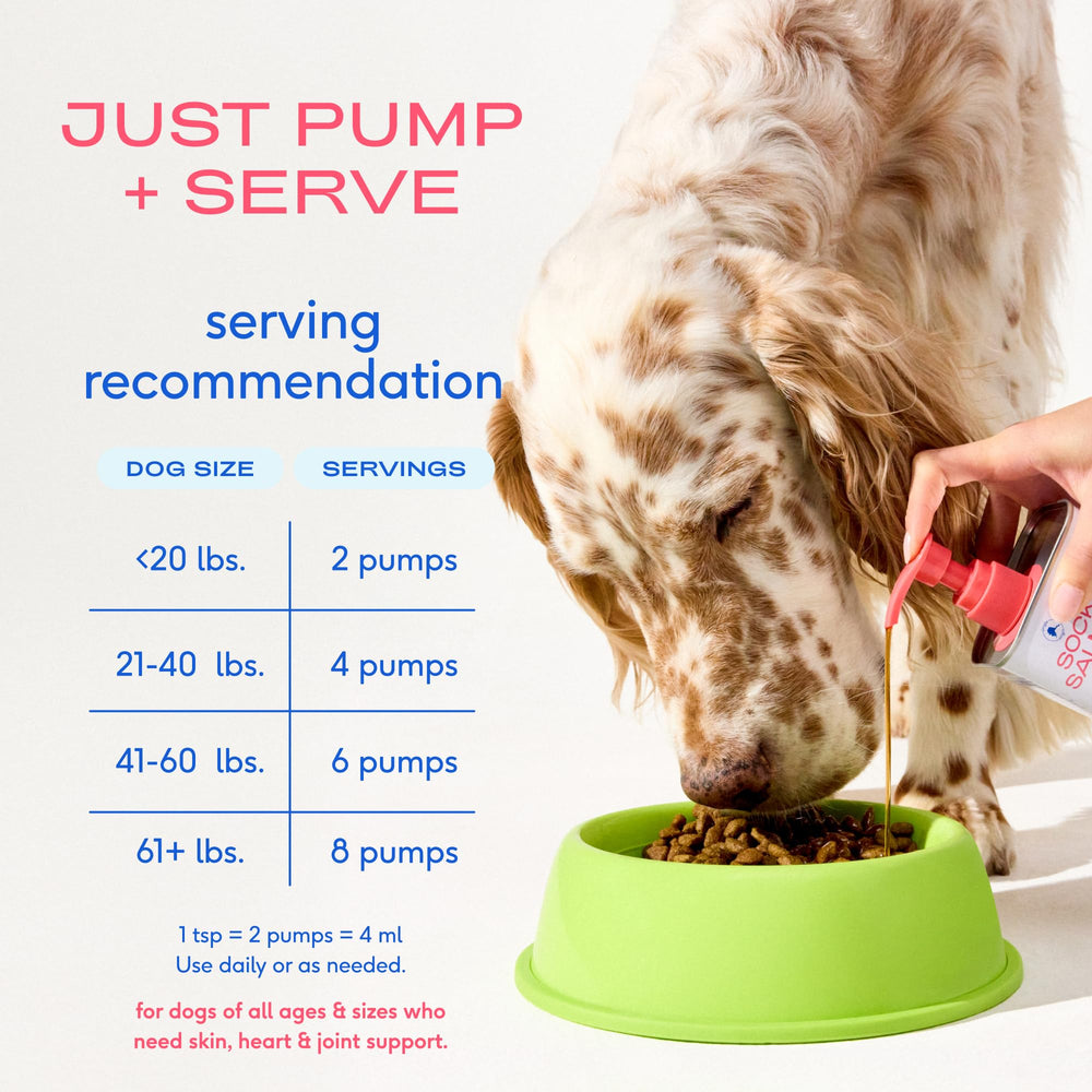 Native Pet salmon oil being drizzled onto wet food.