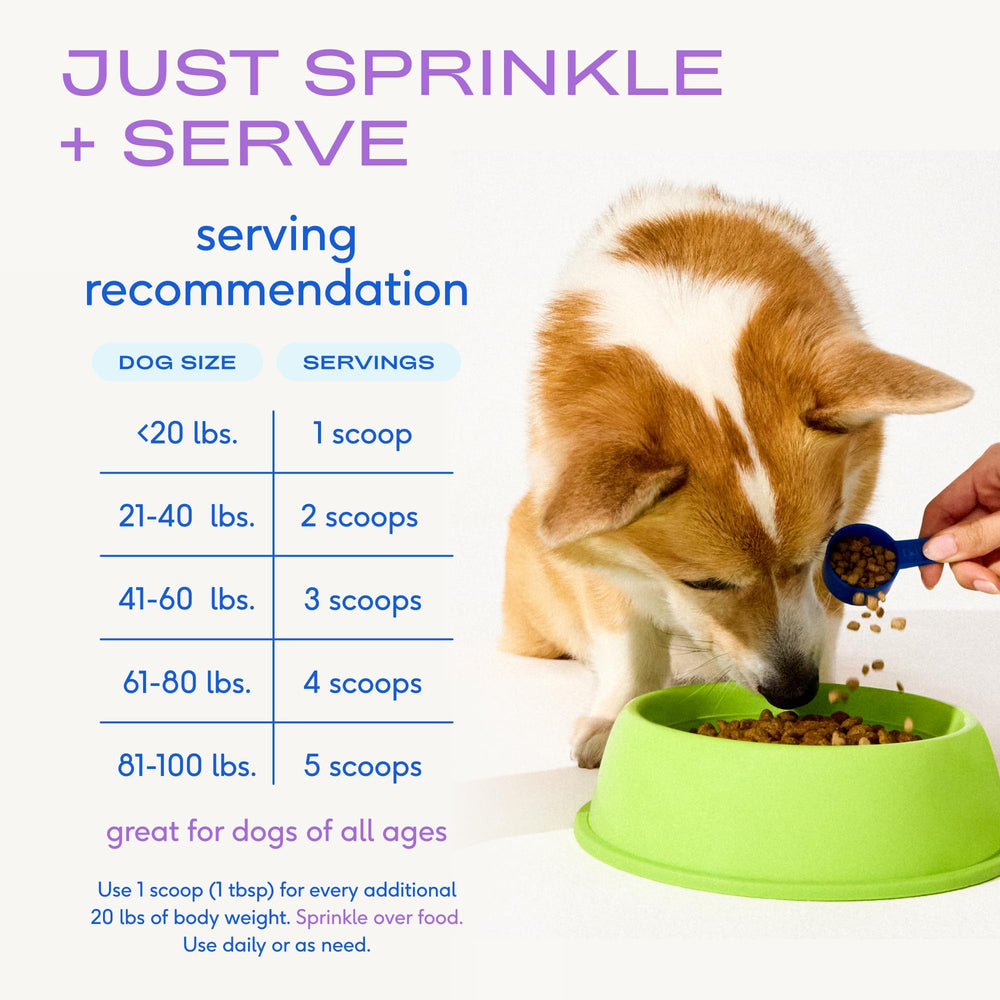 Native Pet WonderGland packaging close-up emphasizing simple daily use.