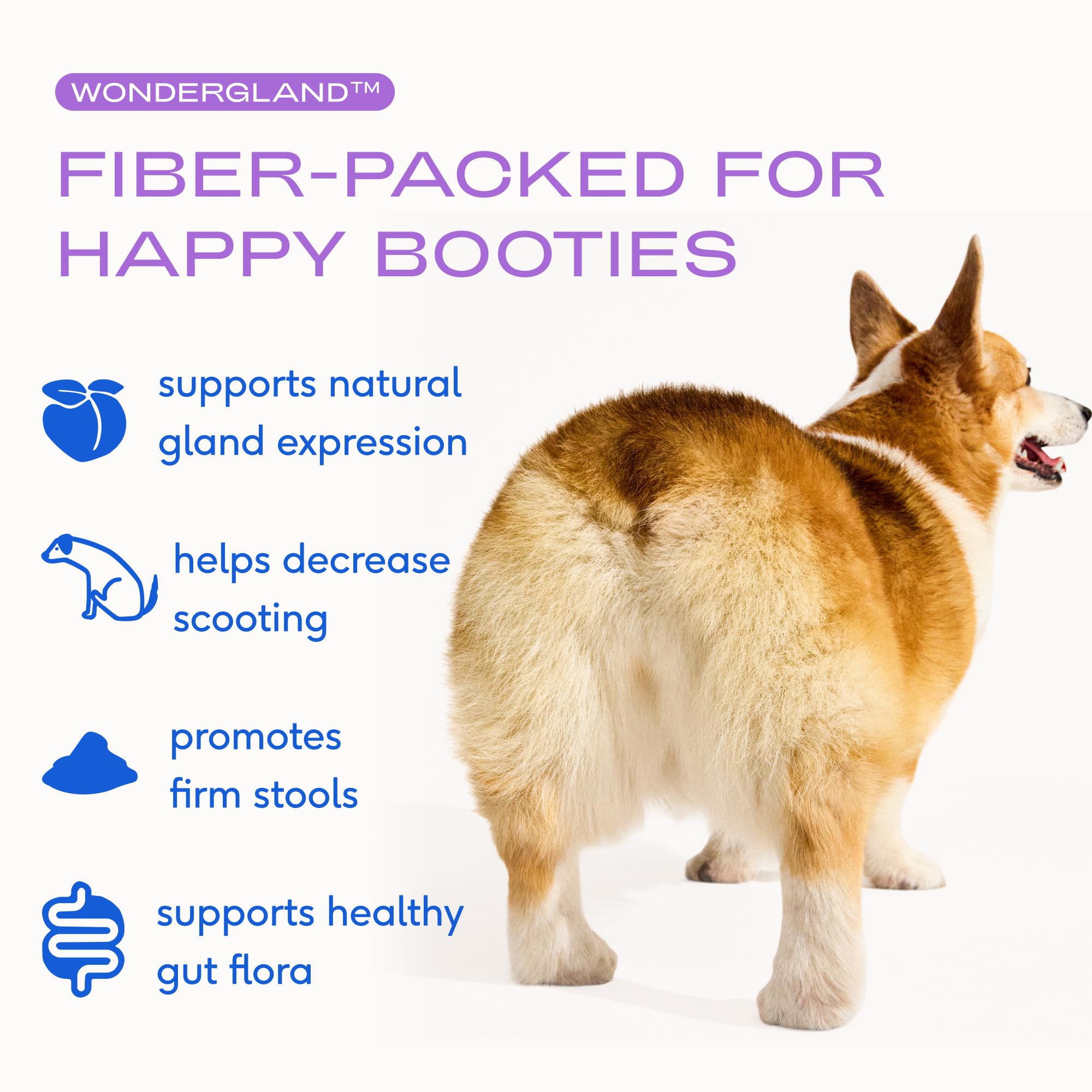 WonderGland pellets on dish highlighting easy, mess-free daily dosing for dogs.