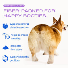 WonderGland pellets on dish highlighting easy, mess-free daily dosing for dogs.