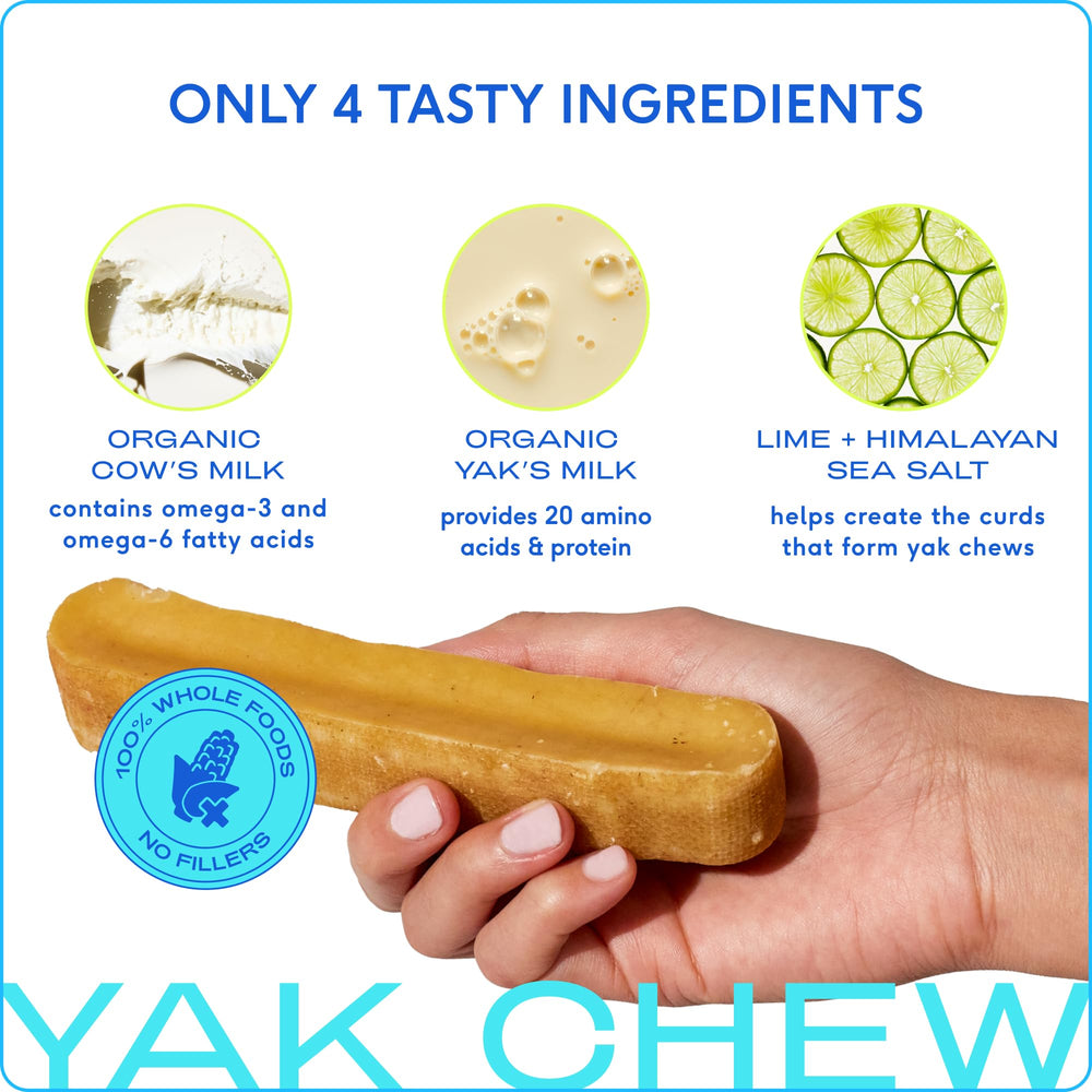 Native Pet yak cheese Himalayan dog chew closeup texture highlights protein-rich enrichment.