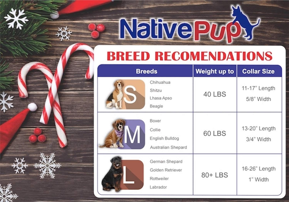 Native Pup Christmas dog collar red green pattern complements festive outfits
