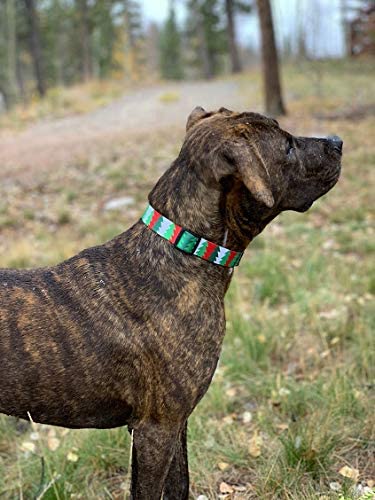 Native Pup Christmas tree collar design stands out in gift ready seasonal looks