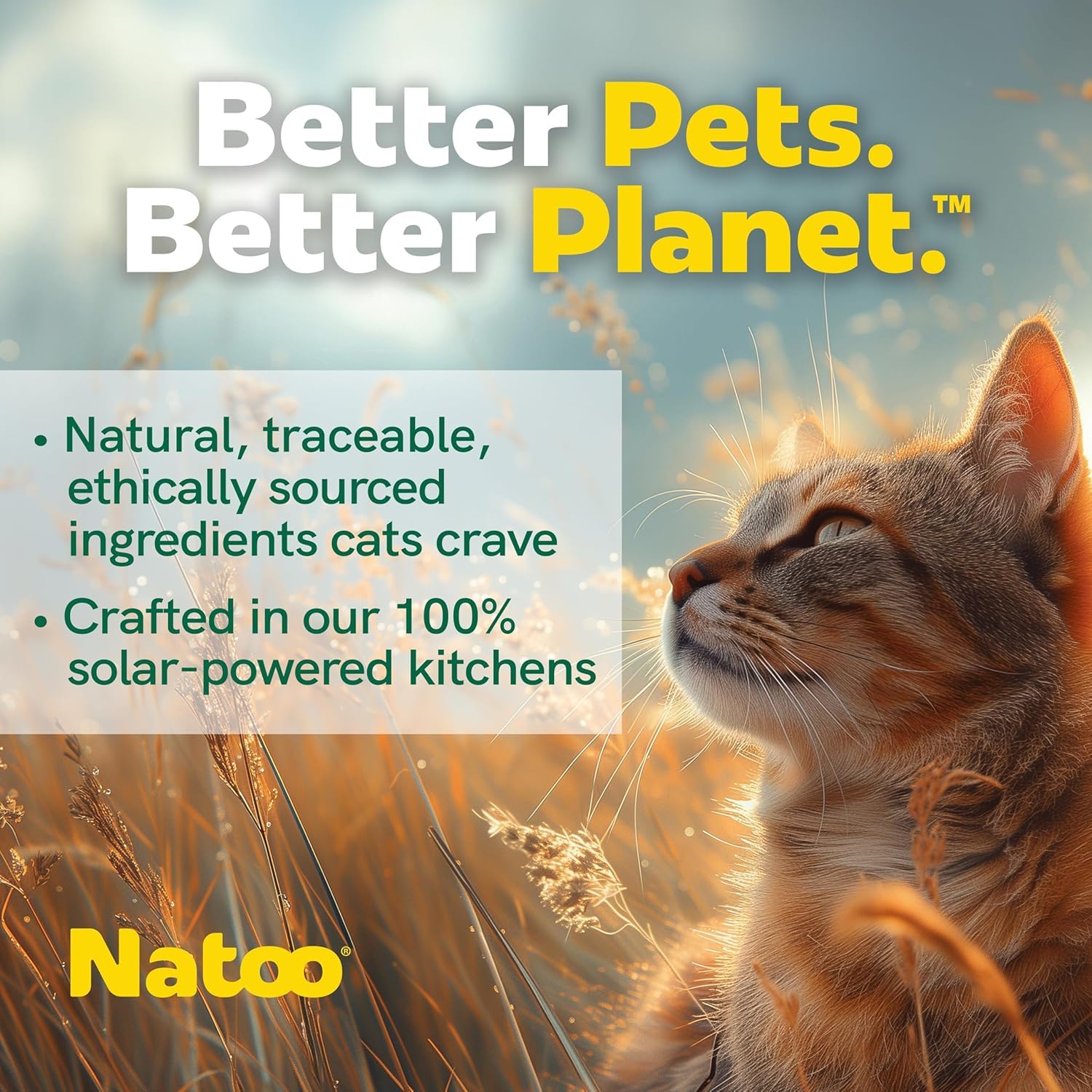 NATOO Cat Food Topper features added vitamins and amino acids for overall wellness.