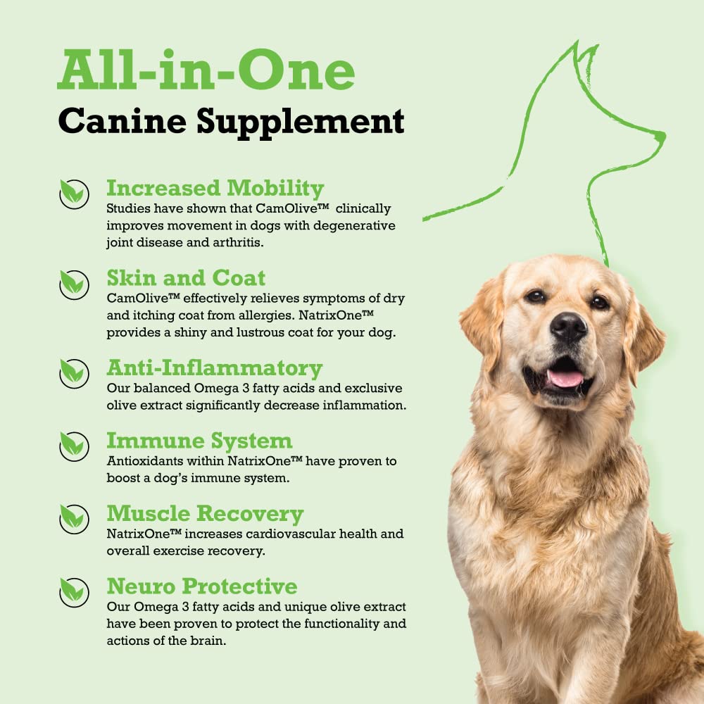 NatrixOne camelina oil for dogs being poured into meals — simple mixing