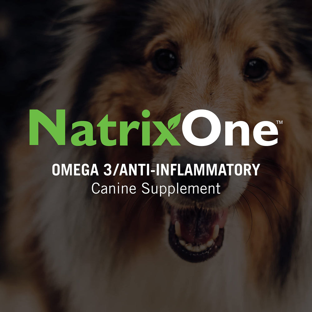 NatrixOne camelina oil vet formulated — professional‑grade pet nutrition