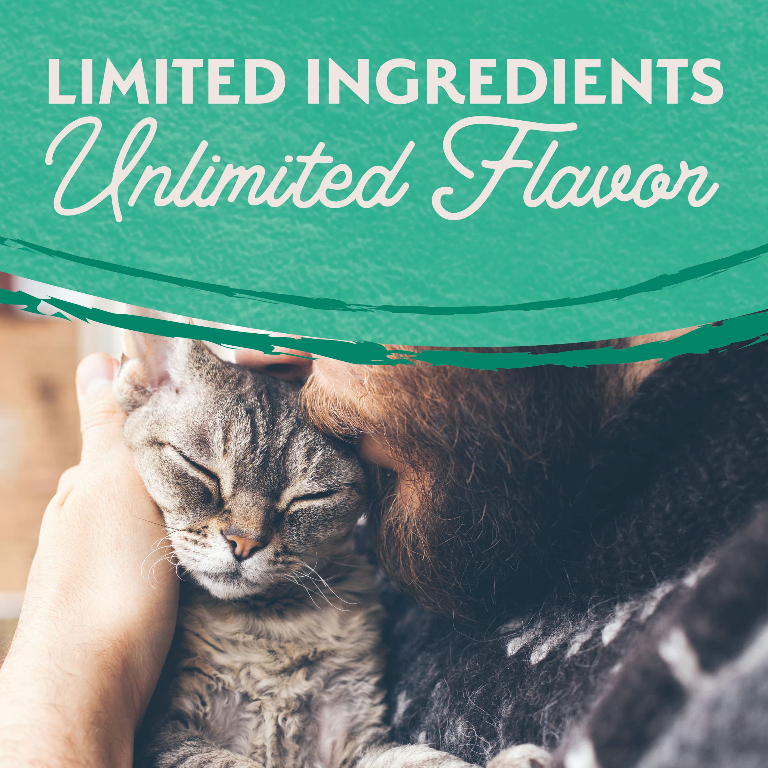 Natural Balance LID no artificial colors or flavors—purity in every can.