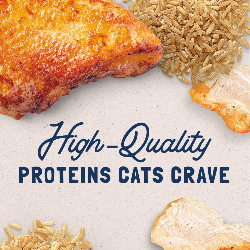 Natural Balance Original Ultra Adult Wet Cat Food ingredient-closeup highlights chicken liver and broth for flavor.