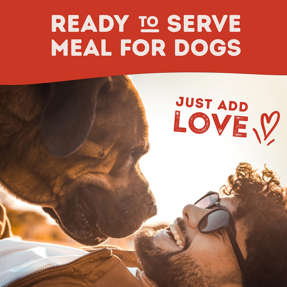 Natural Balance Platefulls dog enjoying meal illustrates simple feeding routine