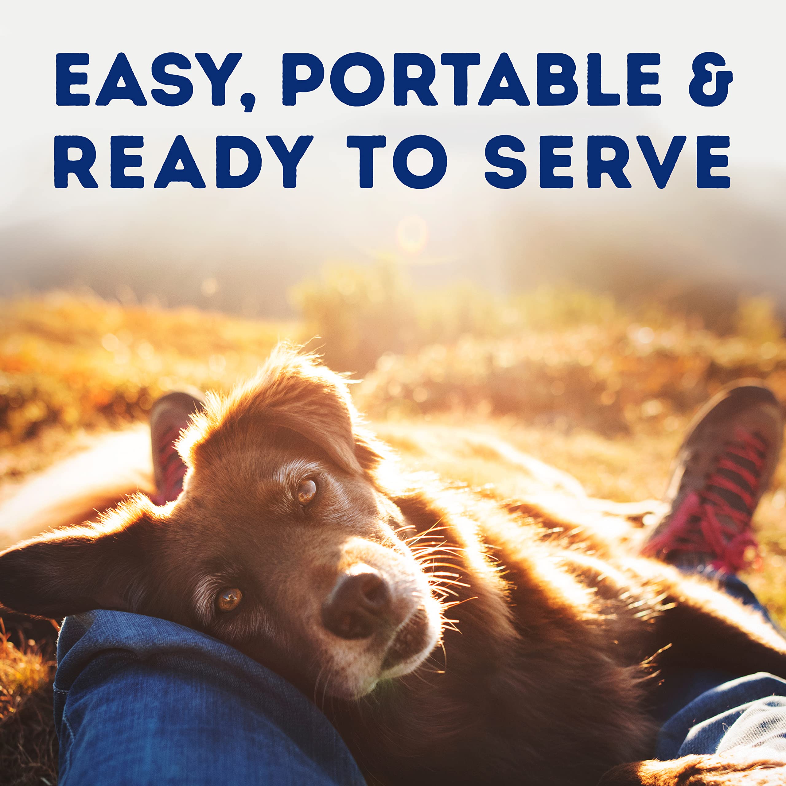 Natural Balance Platefulls pet-owner feeding scene illustrating simple, satisfying meal moments