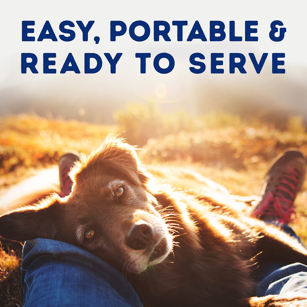 Natural Balance Platefulls pet-owner feeding scene illustrating simple, satisfying meal moments
