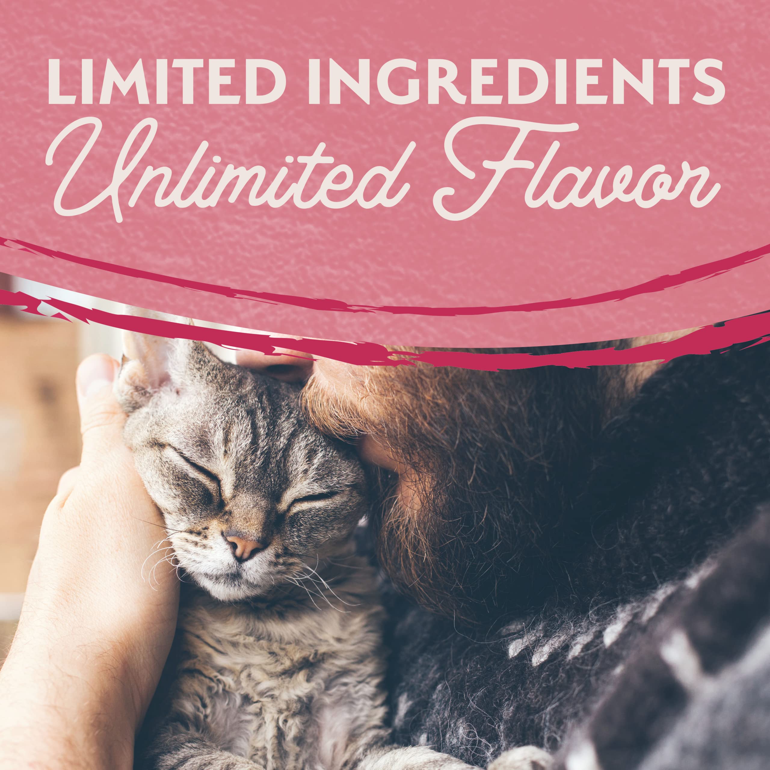 Natural Balance salmon-pea adult cat photo captures everyday nourishment for adult felines.