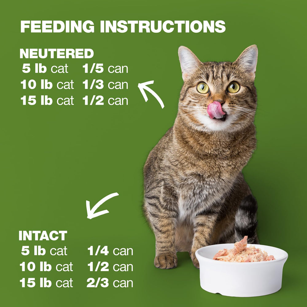 Natural Code happy-cat-eating captures appealing texture and moisture of the topper.