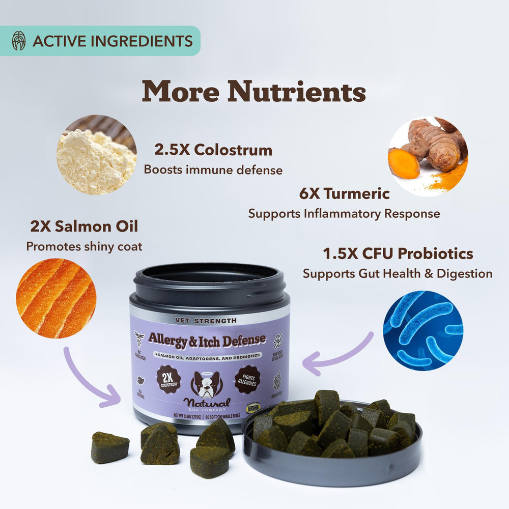 Natural Dog Company colostrum chews emphasize immune support and gut balance for dogs.