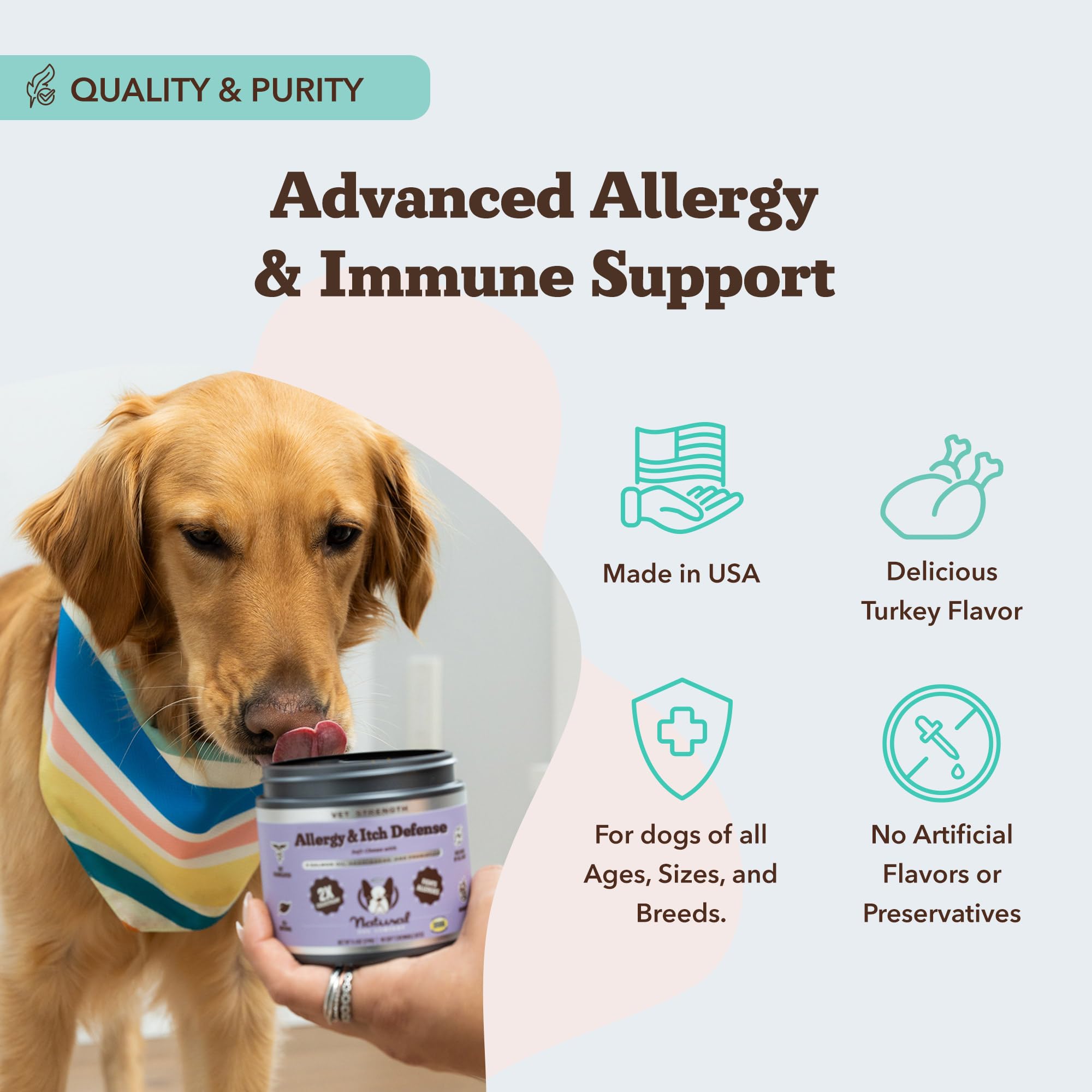 Natural Dog Company treats imagery showing a dog enjoying a daily allergy care chew.