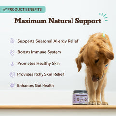 Natural Dog Company itch-defense chews help soothe itchy, sensitive skin condition in dogs.