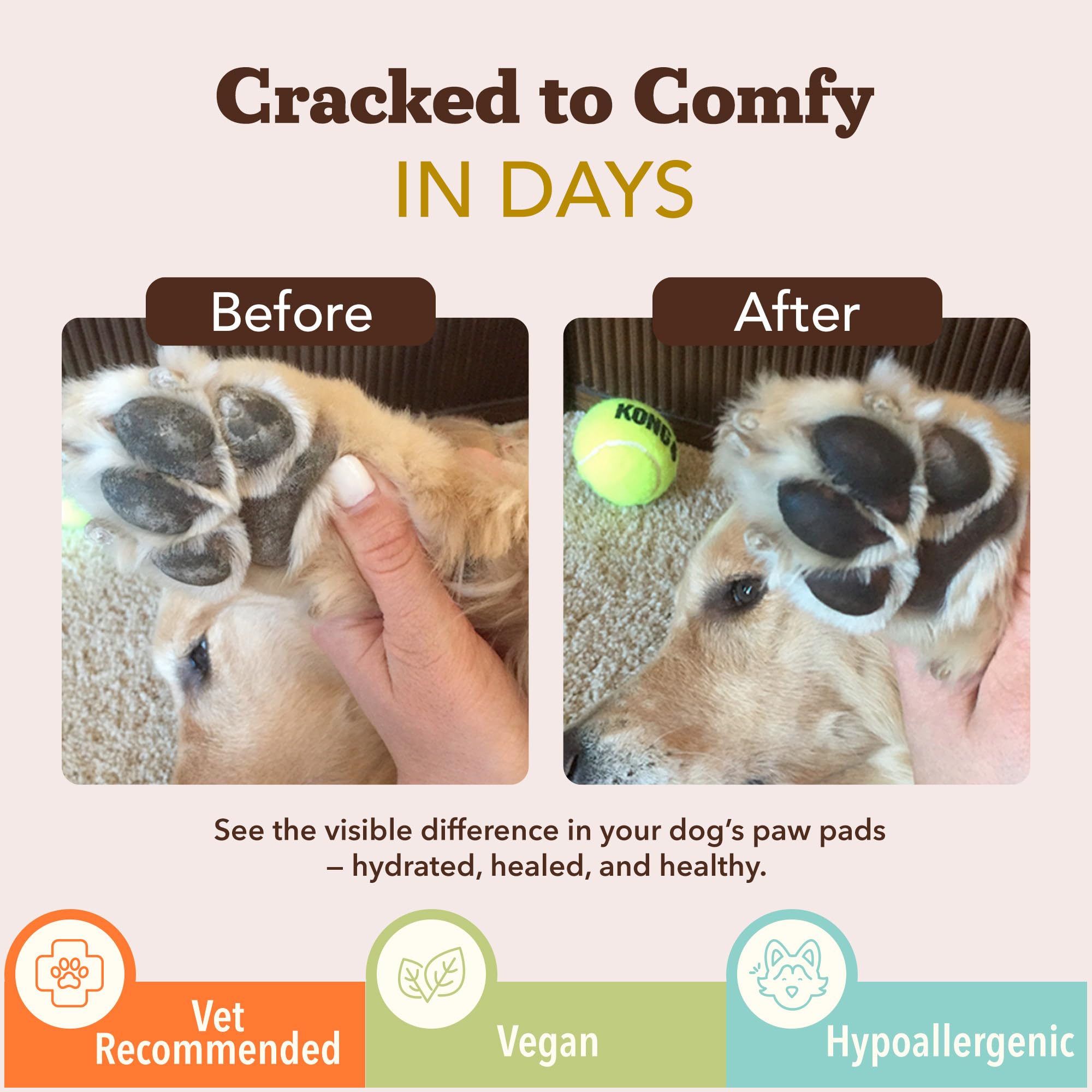 PawTection on a dog's paw showing moisturized, protected pads