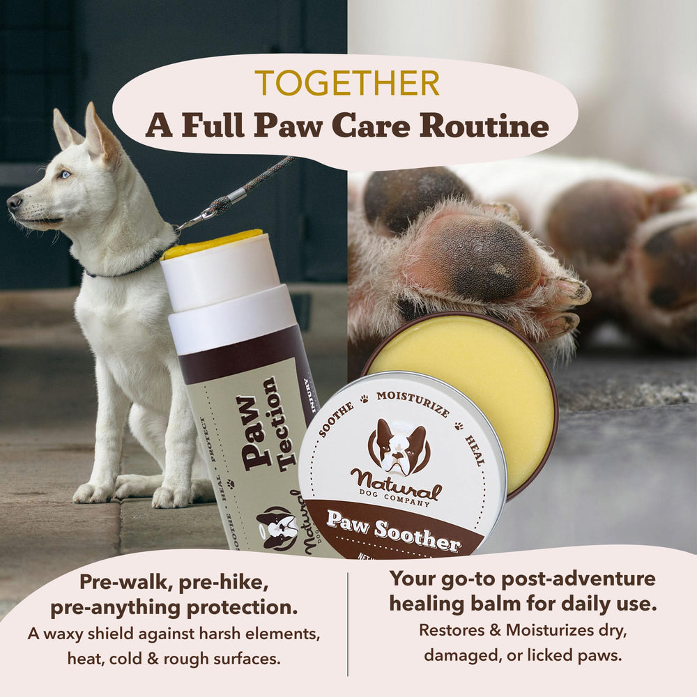 Natural Dog Company PawTection balm tube for easy on-the-go paw care