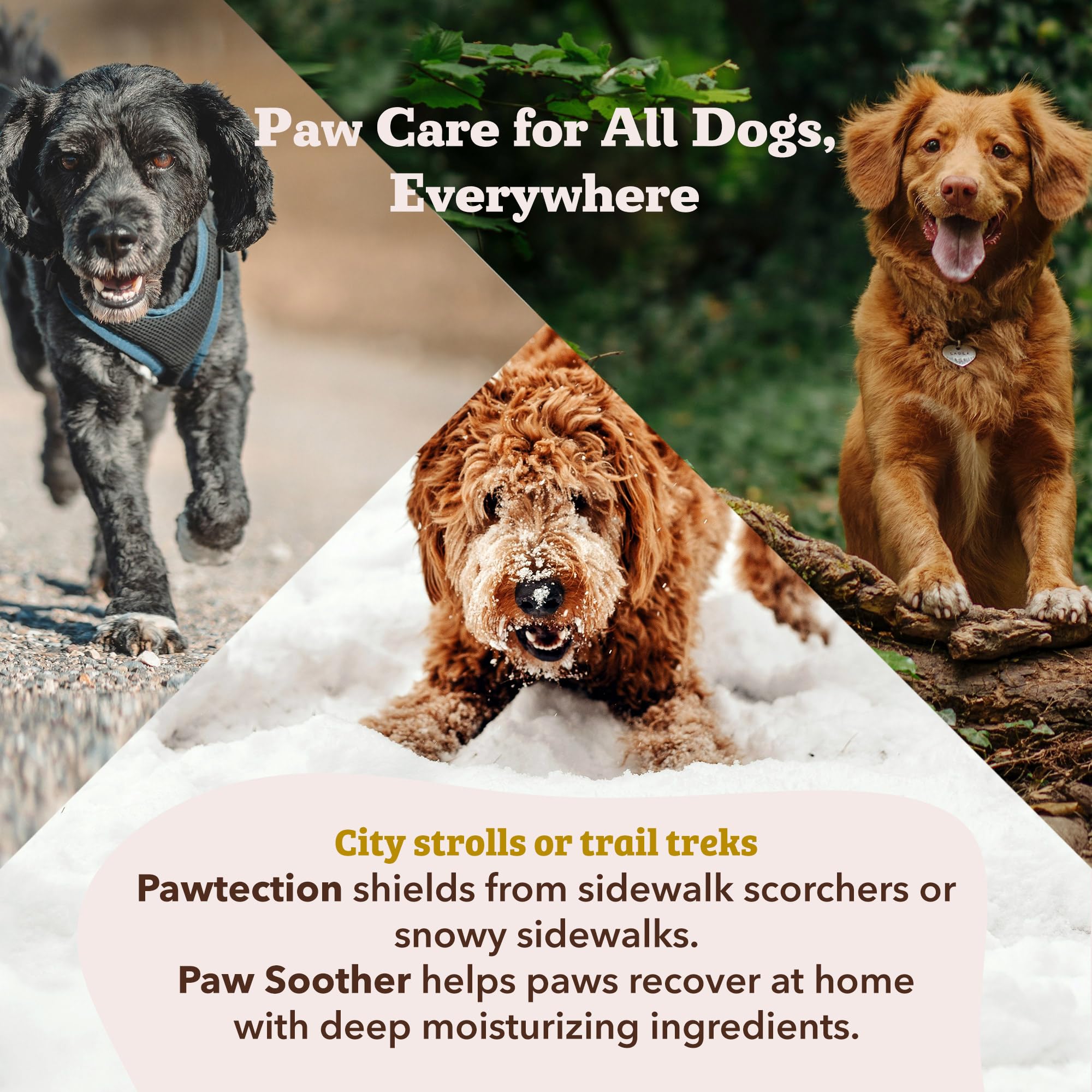 Travel-ready PawTection sticks for outdoor paw protection