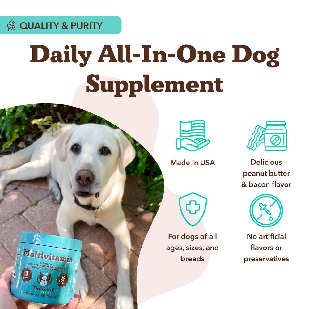 Natural Dog Company 25-in-1 daily routine treat ready for home use